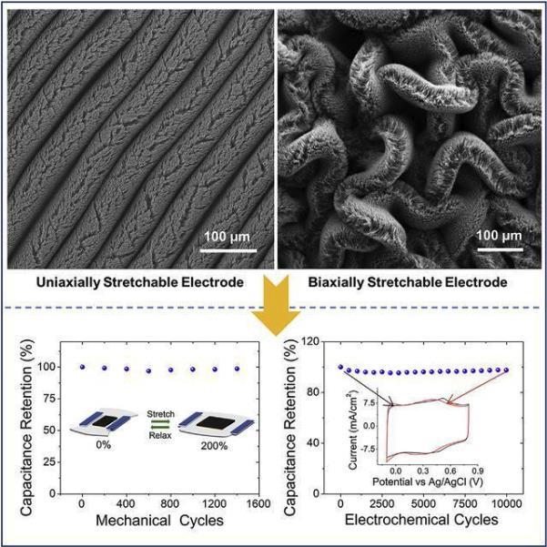 emc易倍·(中国)体育官方网站-EMC SPORTS